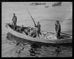 Fishermen in Port? With big haul.