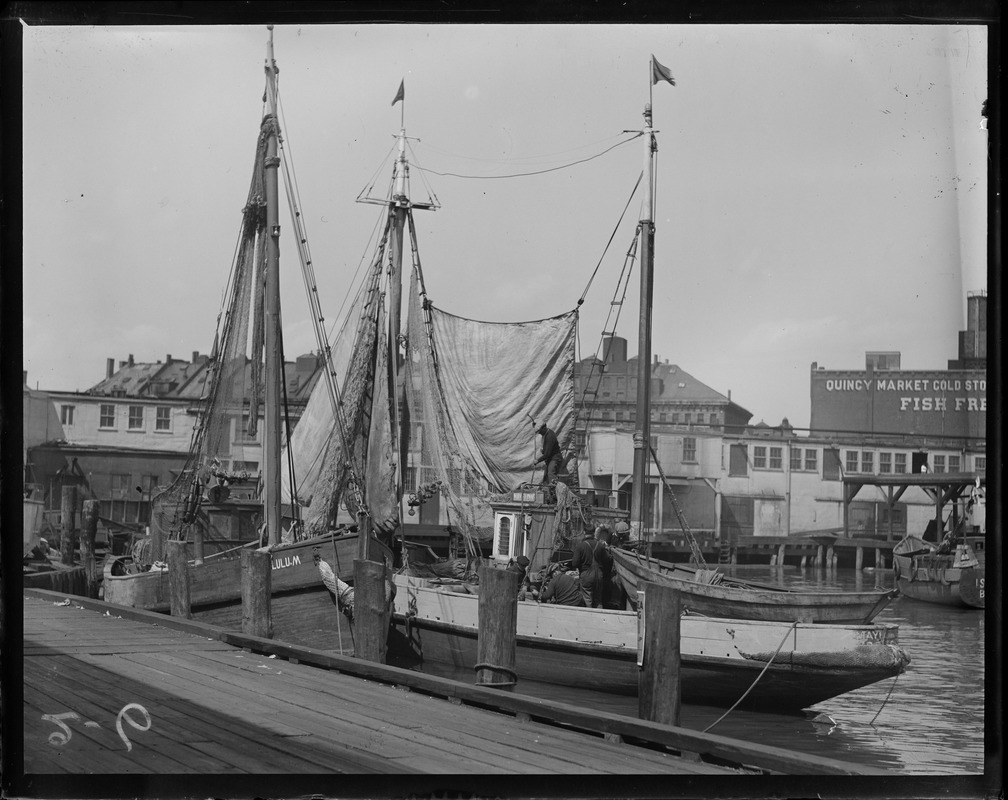 Drying sails at T-wharf
