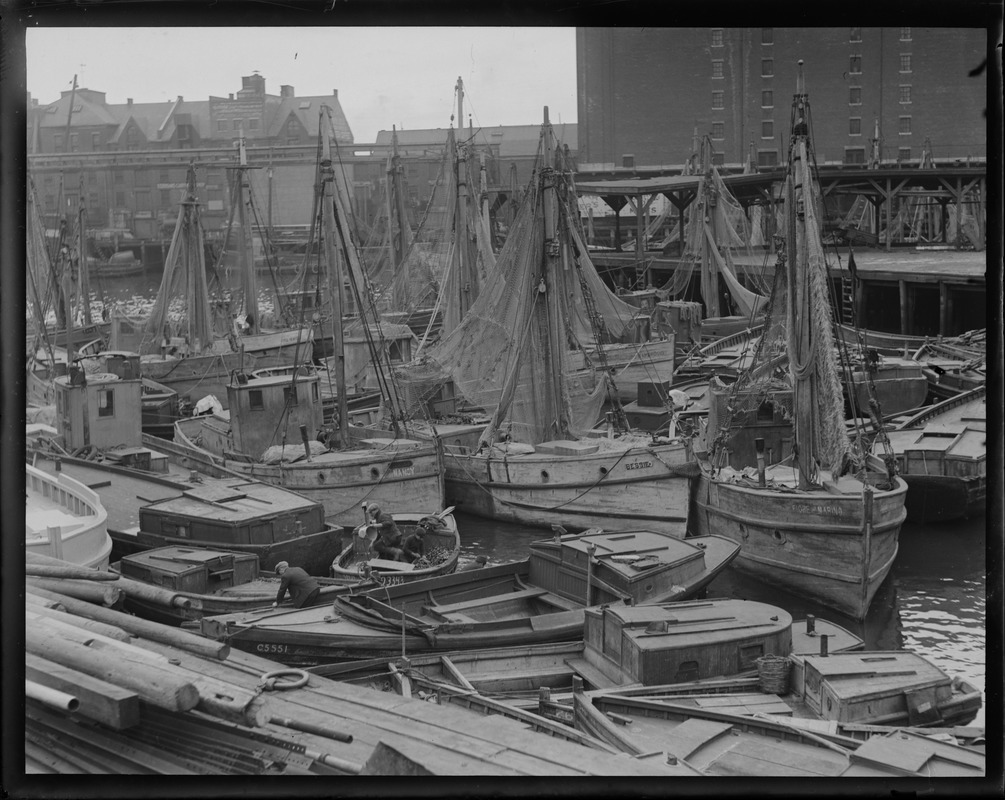 Drying nets at old T-wharf / Atlantic Ave. Fiore Marina et al. boats.