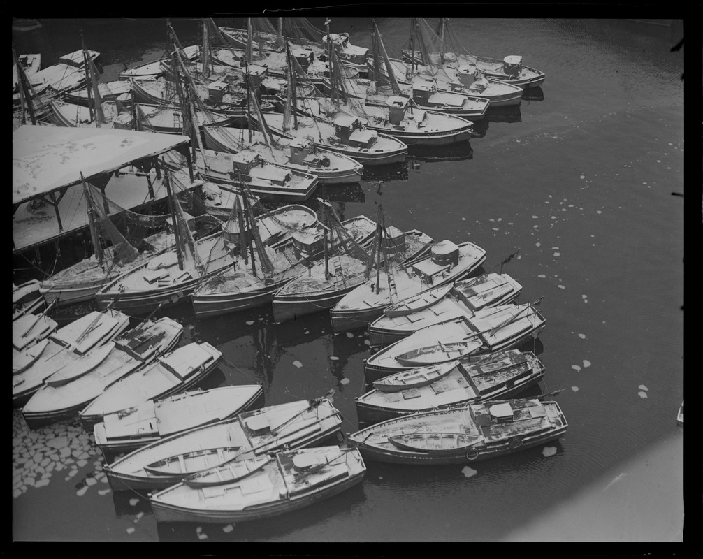 Italian fishing fleet sheltering at old T-wharf on account of storm