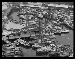 Italian fishing fleet - T-wharf