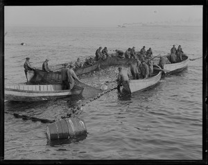 Scup fishing - Newport R.I.