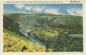 View of Fire Tower, Cook Forest State Park, Cooksburg, Pa.