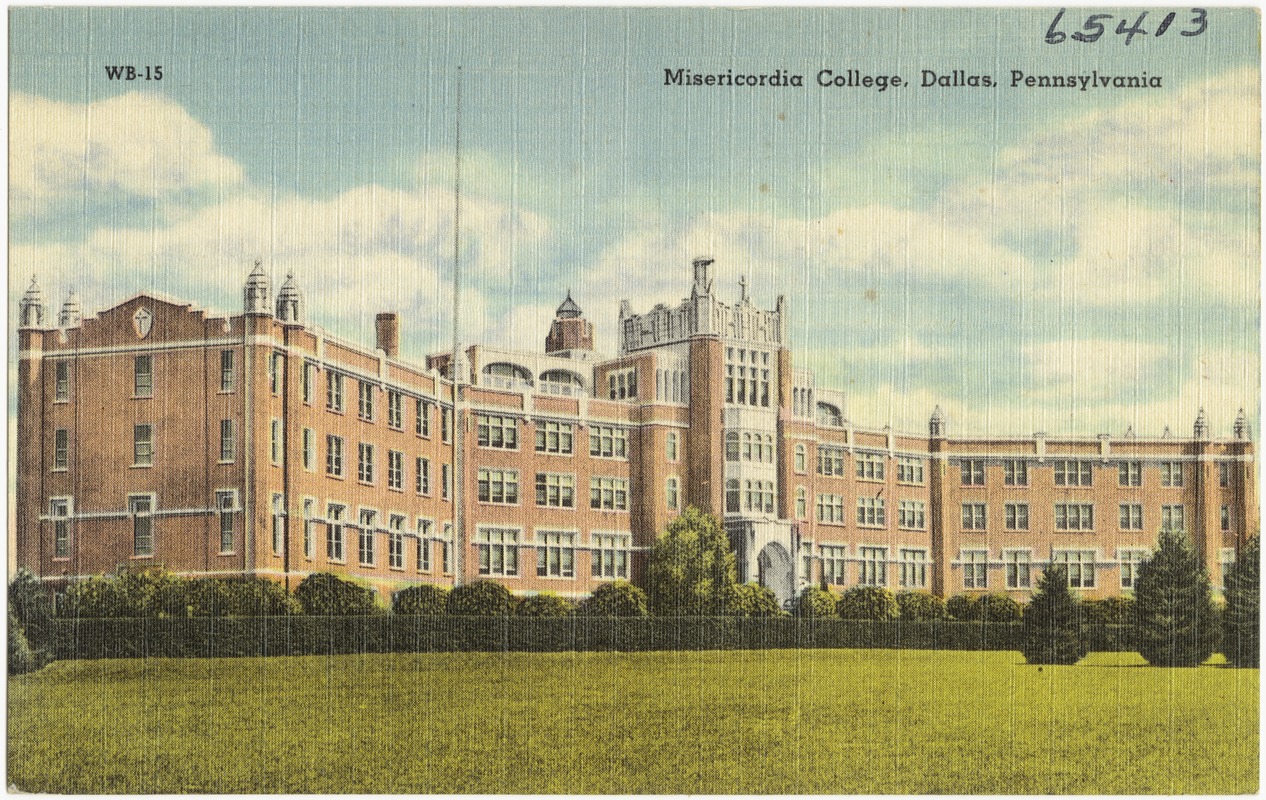 Misericordia College, Dallas, Pennsylvania