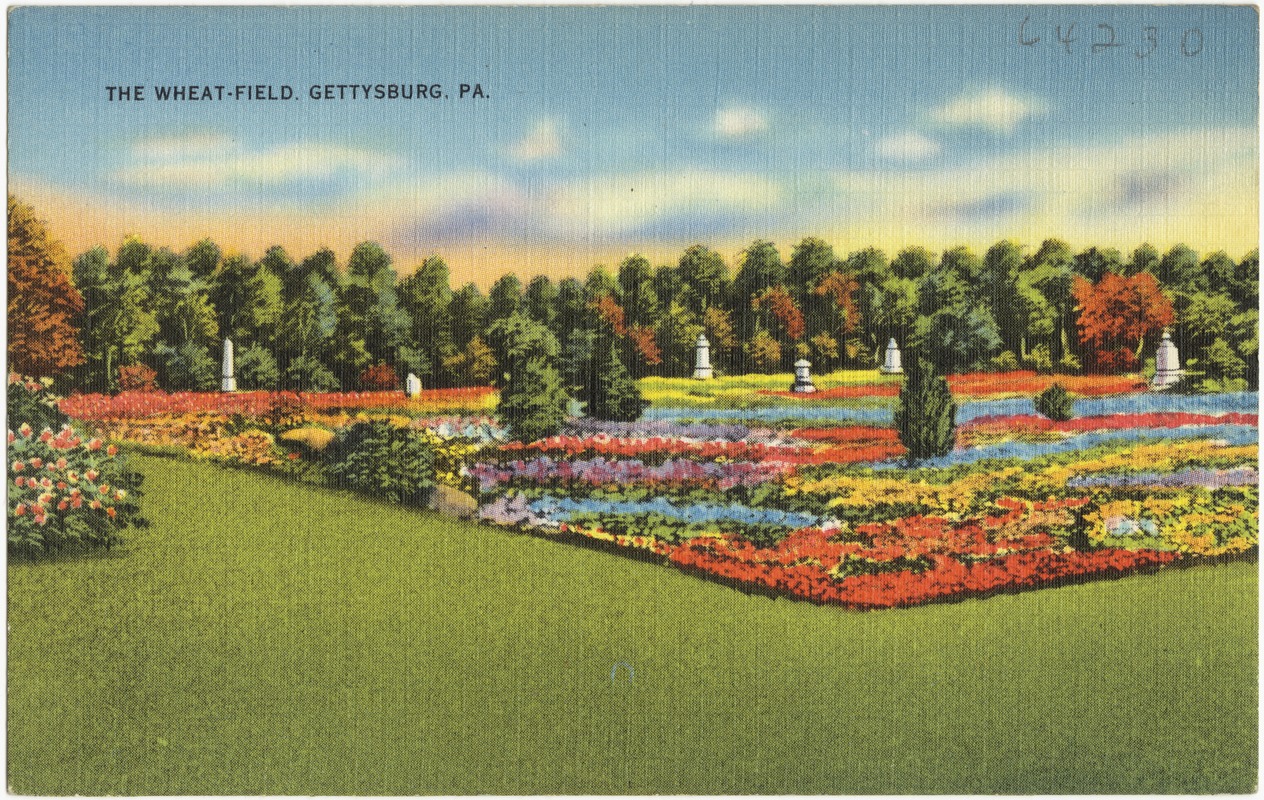 The WheatField. Gettysburg, PA. Digital Commonwealth