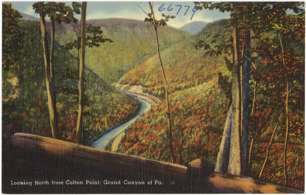 Looking north from Colton Point, Grand Canyon of Pa.