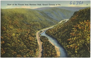 View of the forests from Harrison Park, Grand Canyon of Pa.