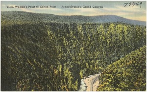 View, Woodin's Point to Colton Point -- Pennsylvania's Grand Canyon