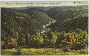View, from Woodin's Point South -- Pennsylvania's Grand Canyon