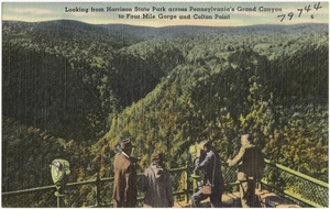 Looking from Harrison State Park across Pennsylvania's Grand Canyon to four mile gorge and Colton Point