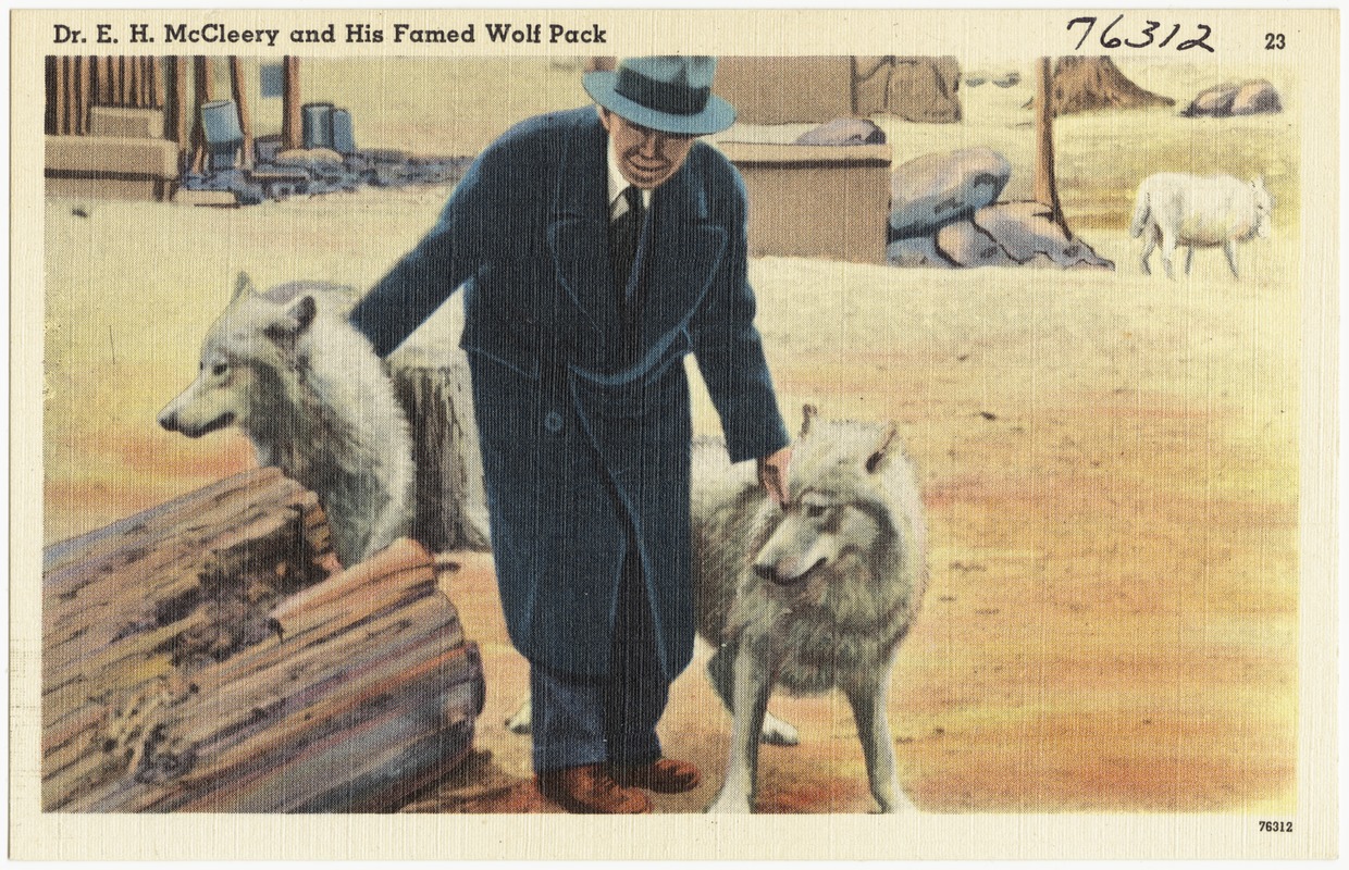 Dr. E. H. McCleery and his famed Wolf pack