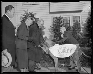 James Michael Curley w/great dane during campaign