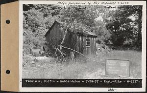 Tennie M. Coffin, shed, Hubbardston, Mass., Jul. 29, 1937
