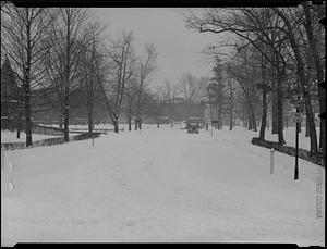 Springfield College campus in the winter