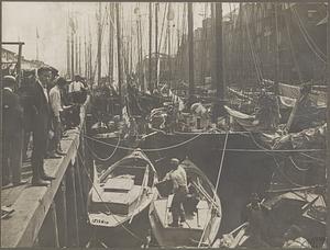 The fishing boats at T Wharf, Boston