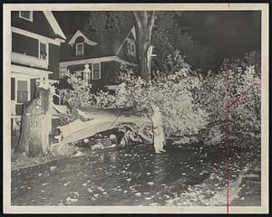 Automobile Crushed By Elm Tree in West Roxbury as gale winds from hurricane off the coast lashed Greater Boston and toppled many trees. Automobile is owned by Paul Rauhaut of 42 Cliftondale road, West Roxbury.