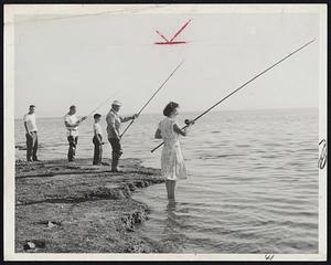 Hopeful-These three enthusiastic anglers had high hopes that the stripers would be running off Wollaston beach this morning. Seeking the elusive bass are, left to right (with rods), Stanley Keyza, Guy Jaconelli and Mrs. David Condon of Springfield.