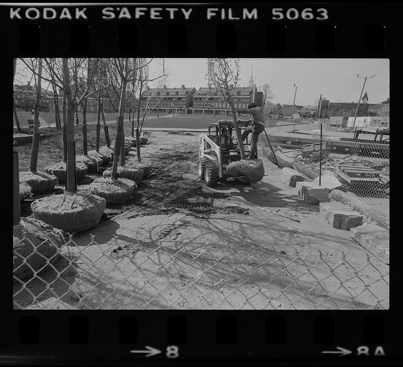 Moving tree on track loader