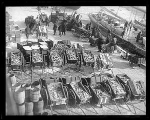 Fish pier push-carts with fish parking lot