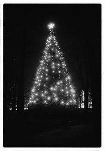 Park Dep. Christmas