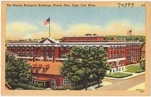 The Marine Biological buildings, Woods Hole, Cape Cod, Mass.
