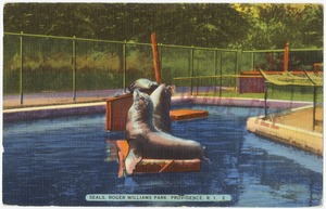 Seals, Roger Williams Park, Providence, R.I.