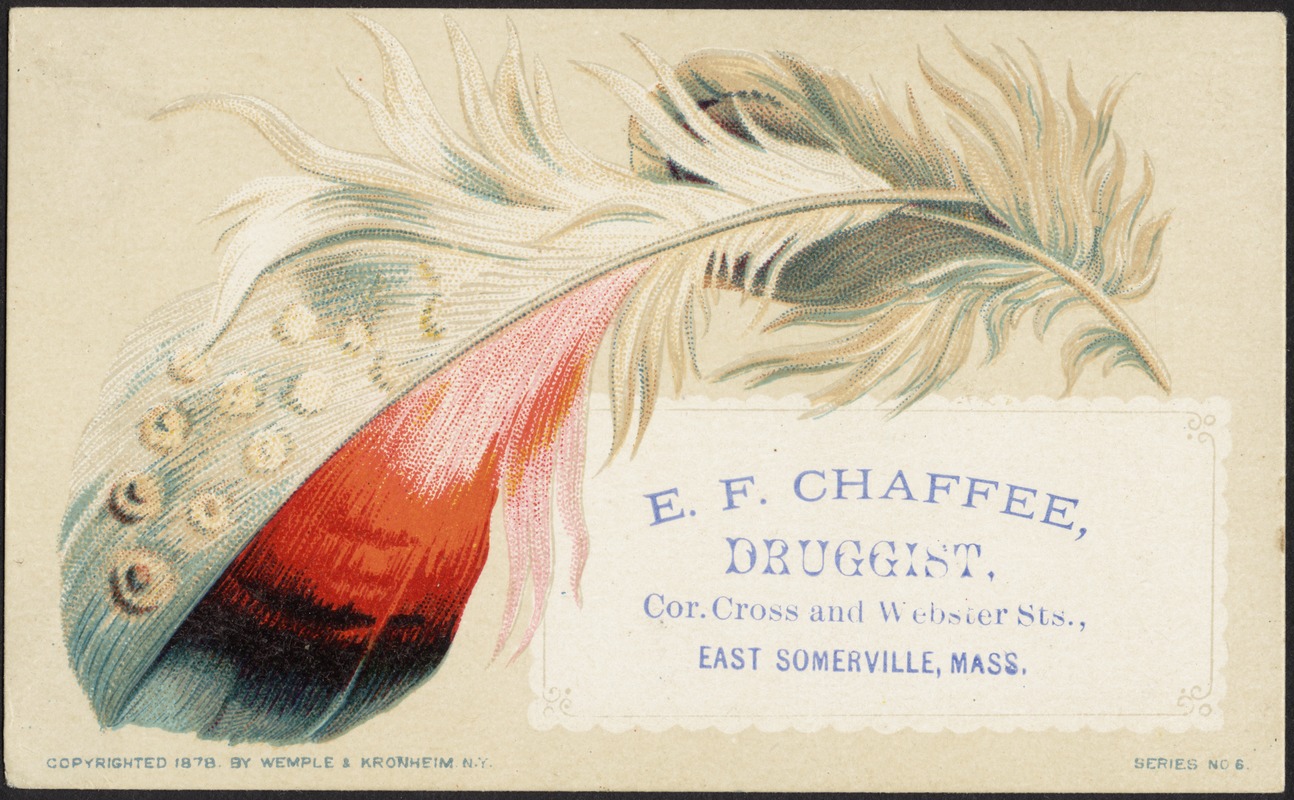 E.F. Chaffee, druggist