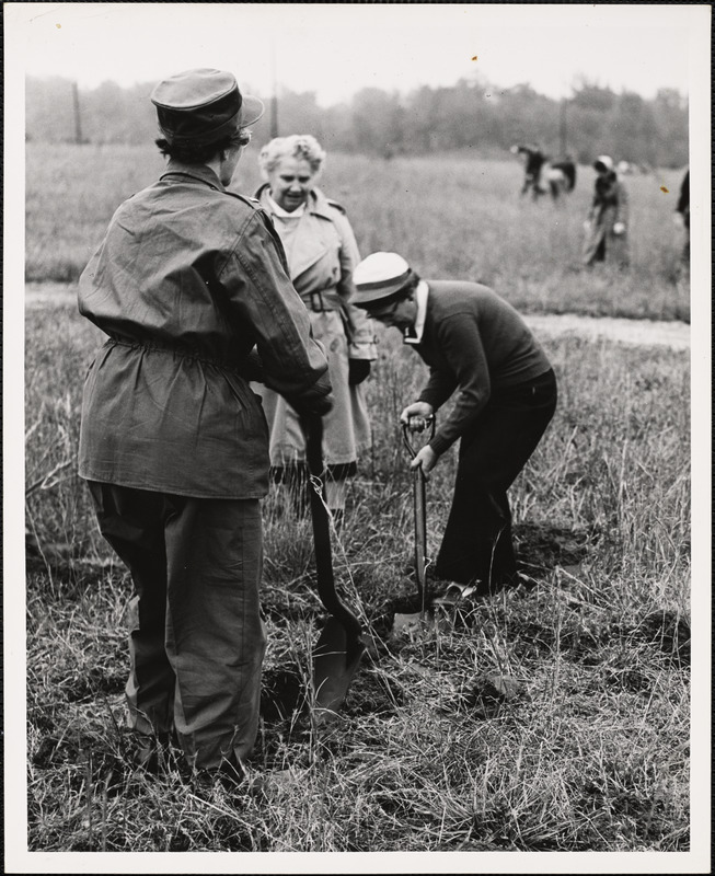 Emergency Mass Feeding, Fort Dix, New Jersey [1954]