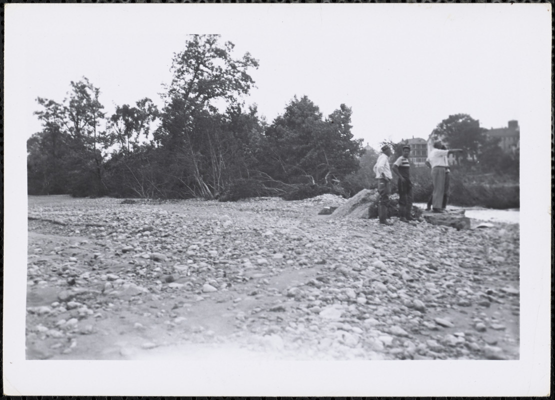 Floods [1955]