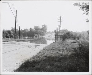 Floods [1955]
