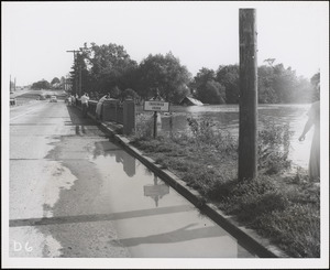 Floods [1955]