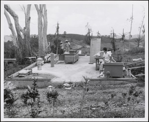 Hurricanes Puerto Rico [1956]