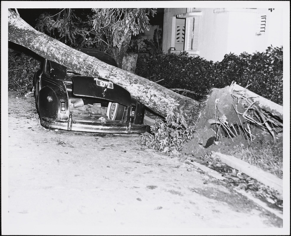 Hurricanes Puerto Rico [1956] Digital Commonwealth