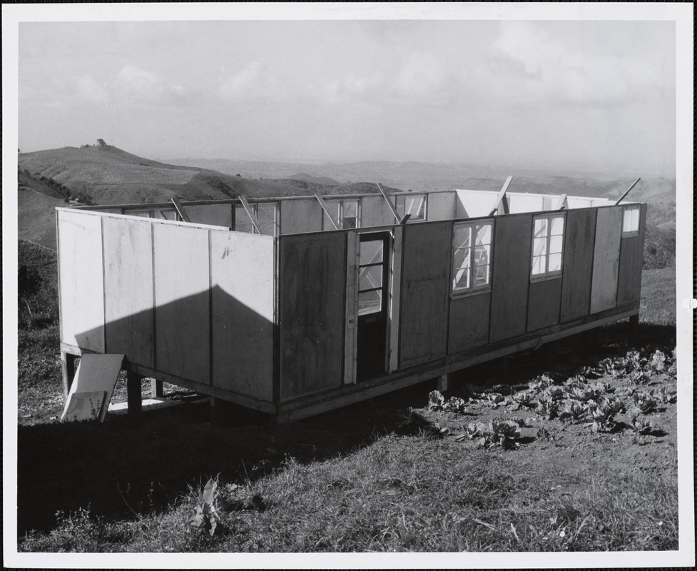 Hurricane "Betsy" Puerto Rico 8/12/1956 Digital Commonwealth