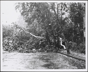 Hurricane "Betsy" - Puerto Rico - 8/12/1956