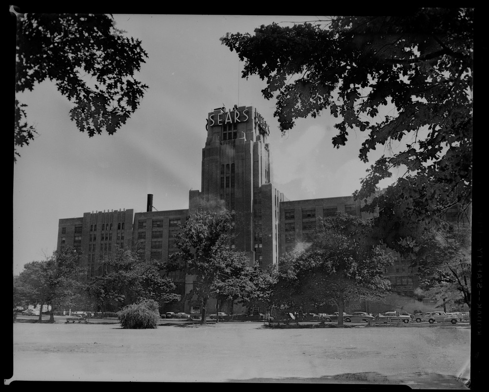 View of Sears building with tree foliage