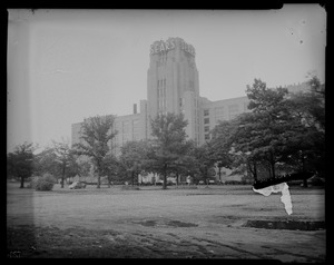 View of Sears building with tree foliage