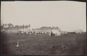 Camp near Brandy Station, Virginia, 1864