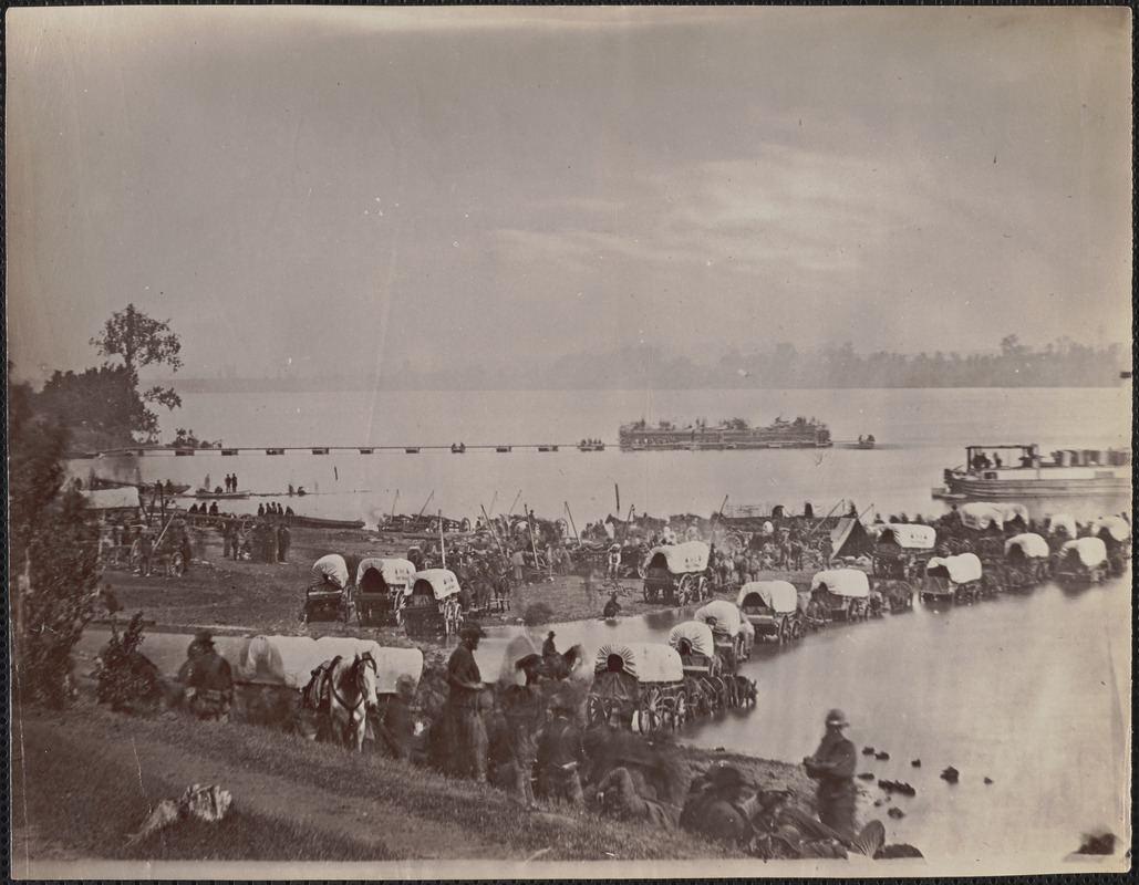 Wagon train at Port Royal, Rappahannock River, Virginia