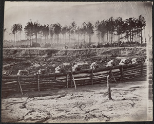 Entrenchments on left of Bermuda Hundred