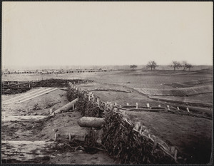 Quaker guns at Centreville Virginia