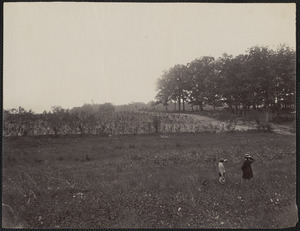 Gettysburg Pennsylvania Battlefield