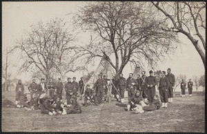 Company 164th New York Infantry