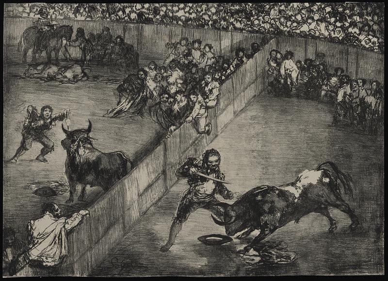 Bullfight in a divided ring