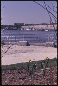 Looking towards Charlestown, Bunker Hill Monument in background