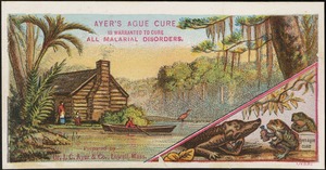 Ayer's Ague Cure is warranted to cure all malarial disorders.