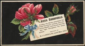 Ayer's Sarsaparilla purifies the blood, stimulates the vital functions, restores and preserves health, and infused new life and vigor throughout the whole system.