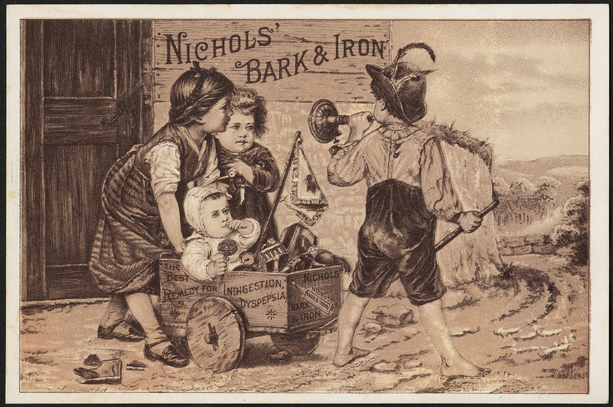 Nichols' Bark & Iron, the best remedy for indigestion, dyspepsia