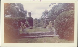 Steps with urns with pink petunias looking towards gate entrance