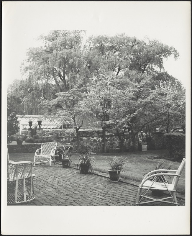 Garden terrace with potted plants and wicker chairs; greenhouse and willow trees in distance